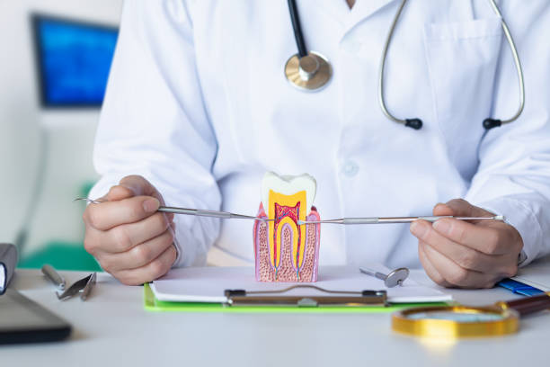Best Emergency Tooth Extraction in Live Oak, FL